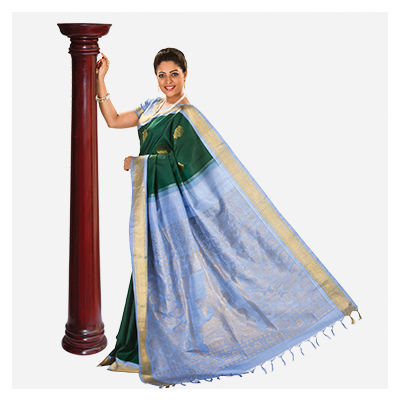 Hastham natchattira saree